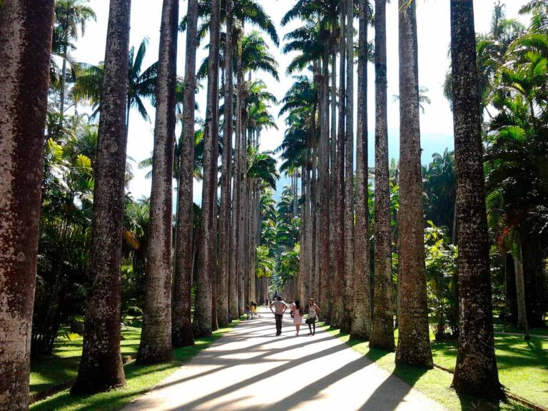 JARDIM BOTÂNICO DO RIO DE JANEIRO: UM HOTEL OU UM MUSEU? TUDO POR DINHEIRO OU FALTA DE RUMO?