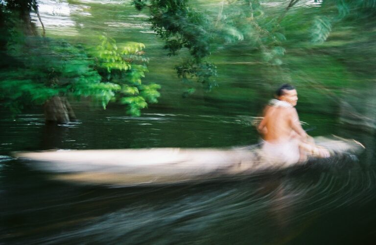 Carta pública: Tudo está interligado como se fôssemos um nessa casa comum