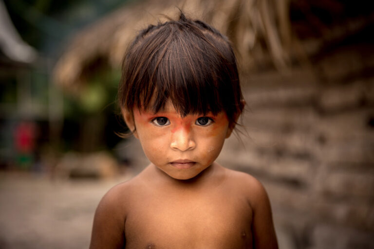 Brasileiros… mas nem tanto. (O indígena no Brasil de Alencar a Krenak)