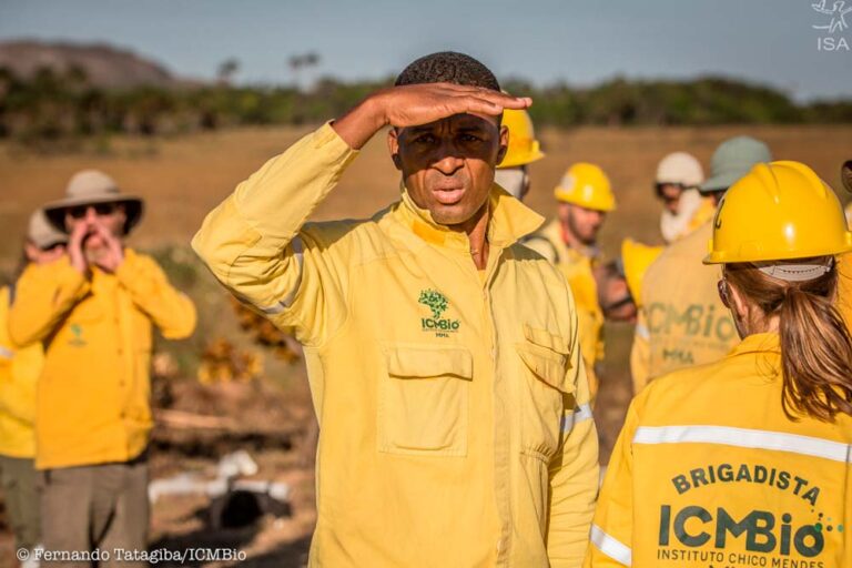 Fusão do ICMBio e Ibama pode levá-los à extinção