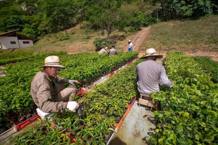 A possível Era da Agroecologia