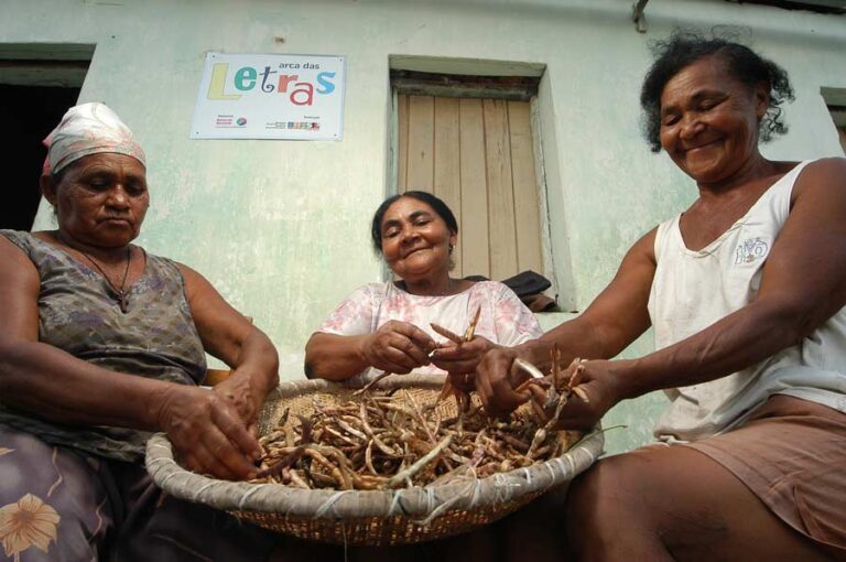 A importância da agricultura familiar