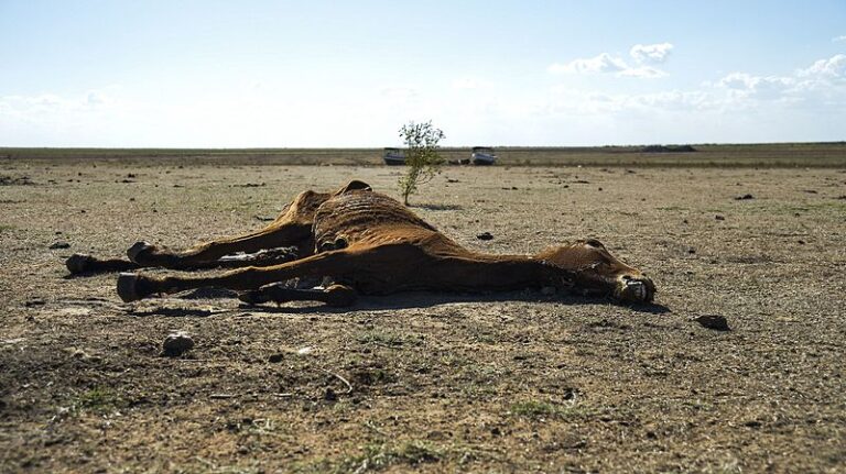 Secas na América do Sul podem aumentar até o fim do século, sugere estudo