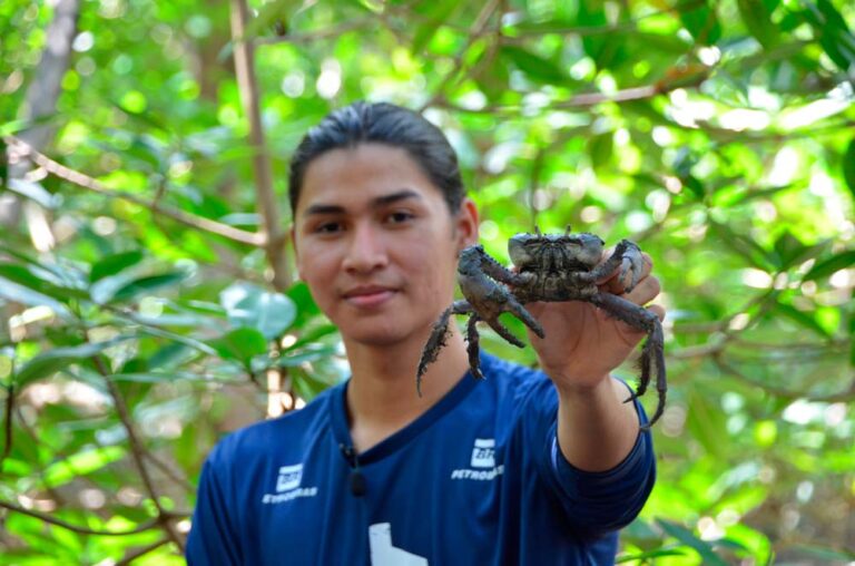 Projeto mobiliza ações sociais e educativas em manguezais da Amazônia