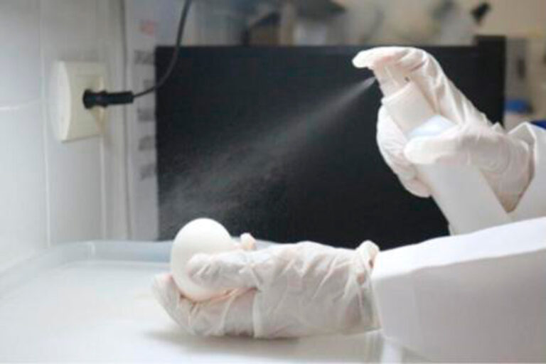 Revestimento com fórmula simples e barata prolonga a vida de prateleira dos ovos de granja