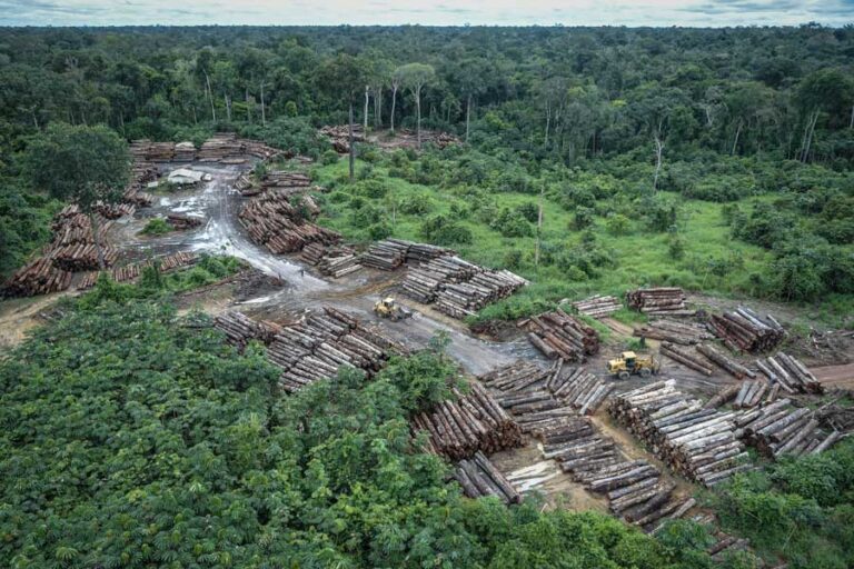 Desmatamento acumulado dos últimos 11 meses cresceu 51% na Amazônia, aponta Imazon