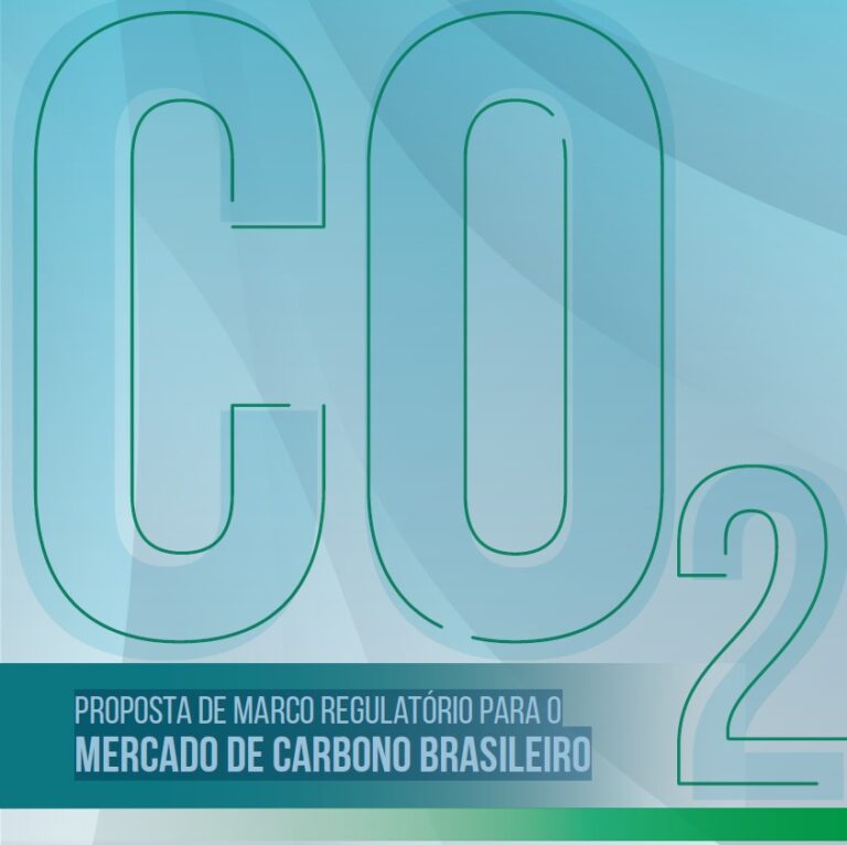 CEBDS lança marco regulatório para o mercado de carbono no Brasil