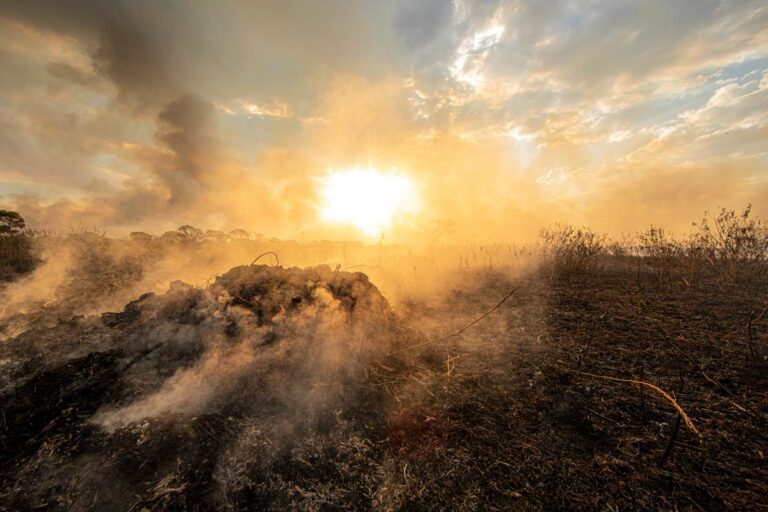 Incêndio queima quase mil hectares no Pantanal em dois dias