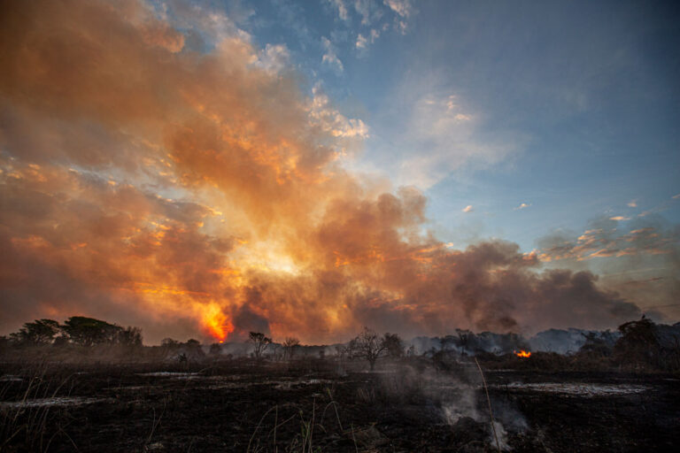 Prefeitos pedem ação conjunta com líderes globais, enquanto pesquisa mostra que brasileiros apoiam o protagonismo das cidades na crise climática