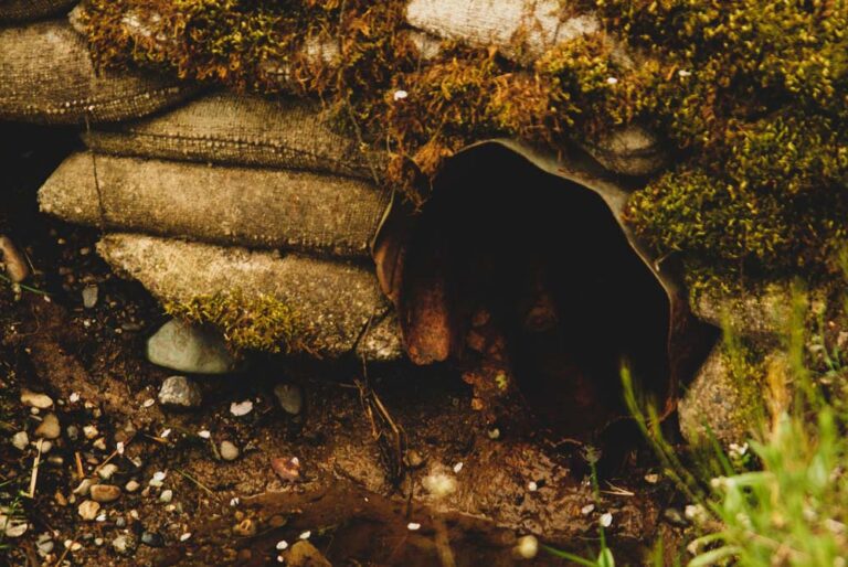 Após um ano em vigor, 10 das 26 companhias públicas estaduais ainda não cumprem os requisitos mínimos da Lei do Saneamento Básico