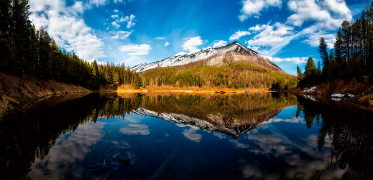 O gerenciamento das florestas do mundo deve ser centrado na água