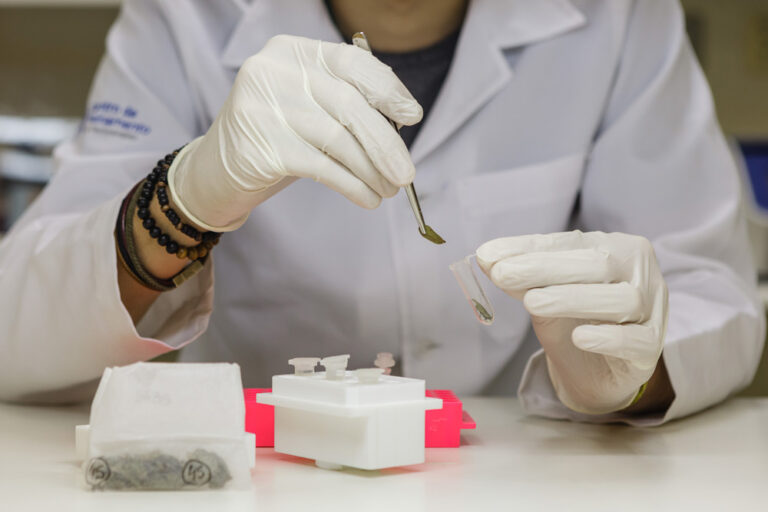 Dez dias para conhecer a ciência e a tecnologia no Jardim Botânico do Rio de Janeiro