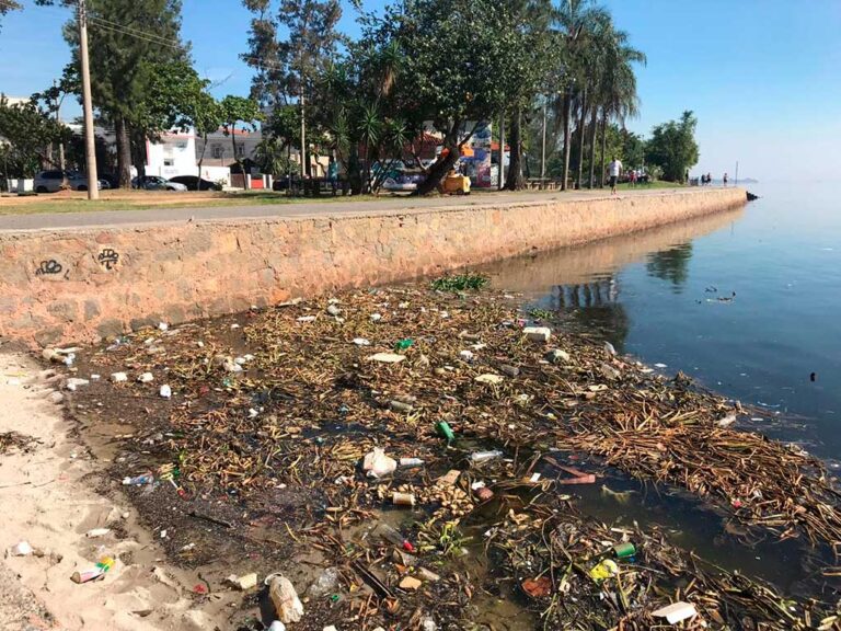 ENROLAÇÃO NO MANGUEZAL DO MONERÓ