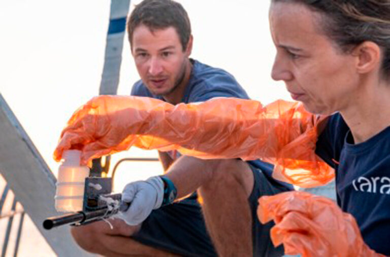 Mudança climática deve alterar o funcionamento de comunidades de microrganismos marinhos, aponta estudo