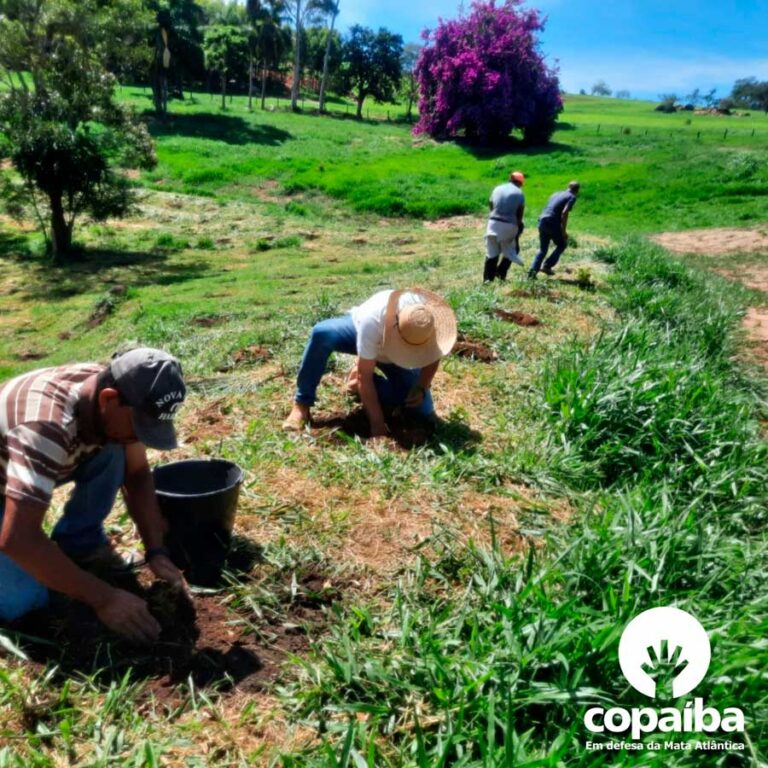 Jungheinrich cria política para a redução da emissão de gases causadores do efeito estufa