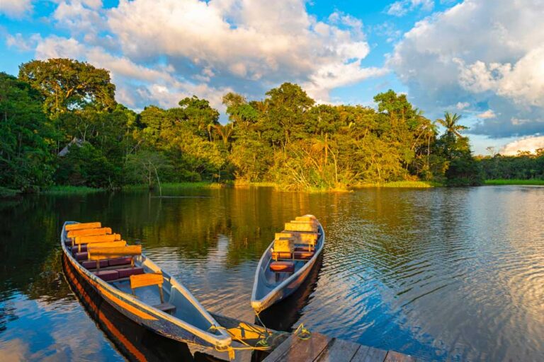 Fundo Amazônia +10 tem a adesão de dez Estados e recursos iniciais de R$ 100 milhões da FAPESP