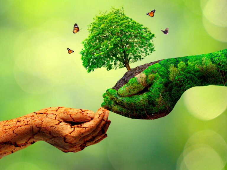 Publicação reúne dados de incentivos econômicos voltados à conservação ambiental e ao desenvolvimento rural sustentável