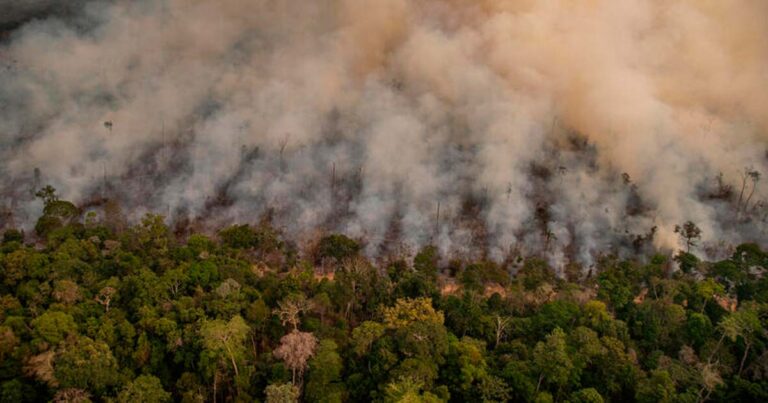 Cidades da Amazônia têm a pior qualidade do ar de todo o Brasil, alerta cientista