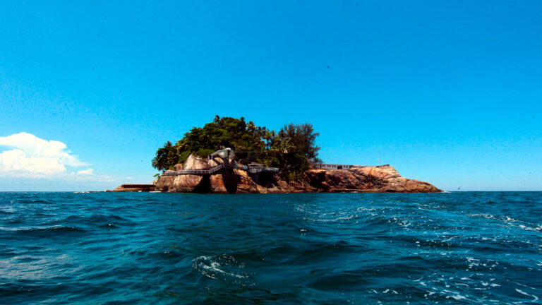 Ilha dos Arvoredos: a Shangri-lá de Lee