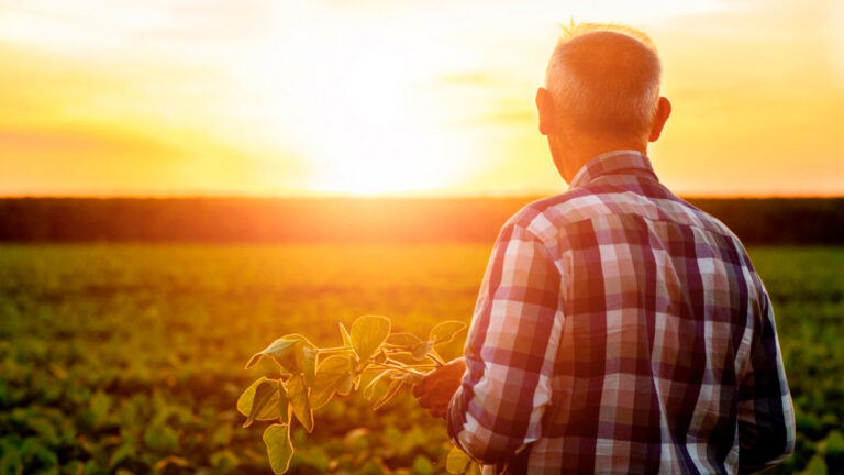 Calor gerado pelo desmatamento compromete produtividade e bem-estar de trabalhadores ao ar livre nos trópicos