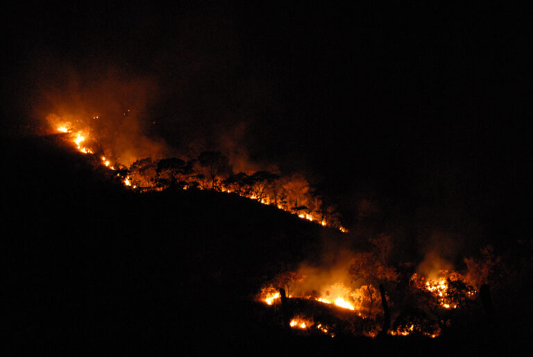 Sociedade civil está pronta para monitorar devastação no Cerrado