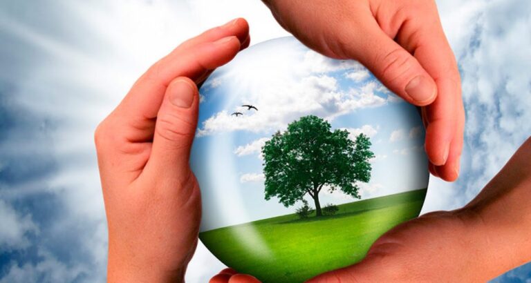 Instituto Votorantim lança fundo de R$ 20 milhões para investimentos em startups de impacto socioambiental