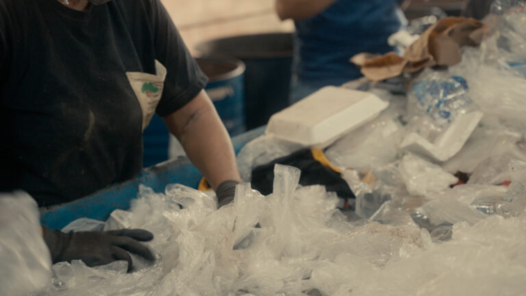 Plastiweber lança projeto para capacitar cooperativas de reciclagem e aumentar volume de coleta de plástico