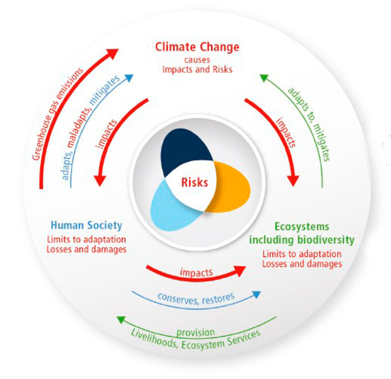 Uma breve análise do IPCC-55 e WGII-12