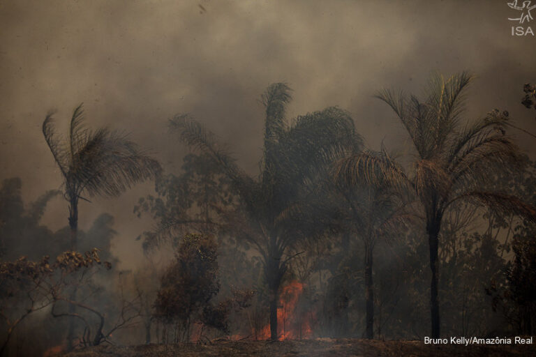 Desmatamento pode quadruplicar em território de isolados no sul do Amazonas