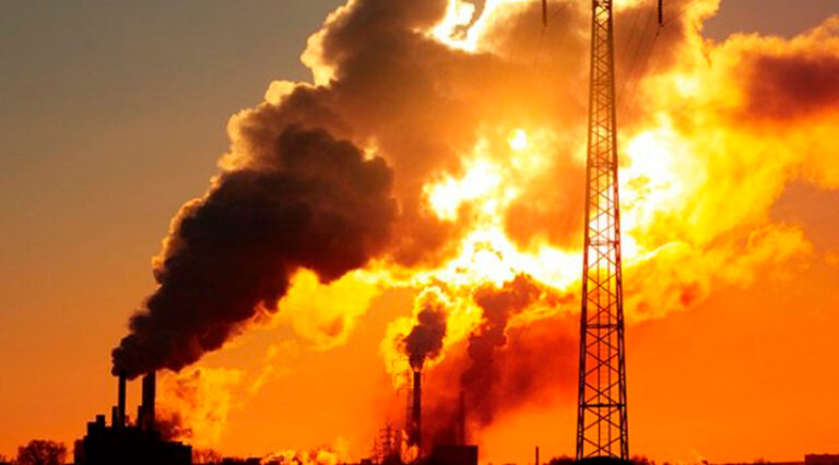 Mudanças climáticas ameaçam 90% das espécies brasileiras, diz estudo 