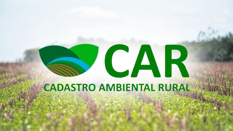 Novo projeto de lei pode criminalizar fraudes no CAR