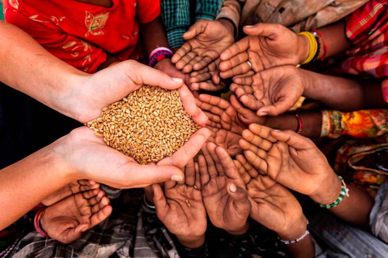 A volta da fome, uma tragédia anunciada
