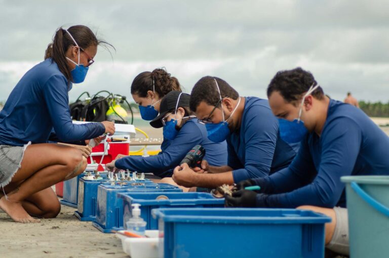 Como é a restauração de corais na costa brasileira?