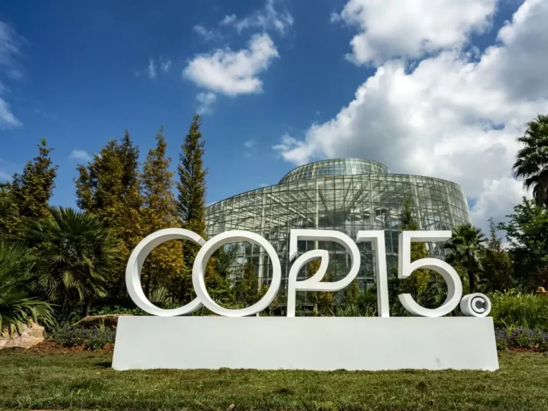 PELA BIODIVERSIDADE NÓS ESTAMOS DE OLHO NA COP15