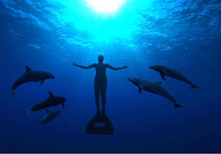 Cinema ambiental para curtir em casa