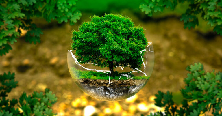 Pesquisa aponta como a crise ambiental é percebida nas classes B e C da população