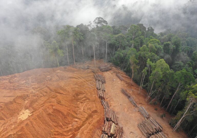 Amazônia pode se tornar um emissor de carbono
