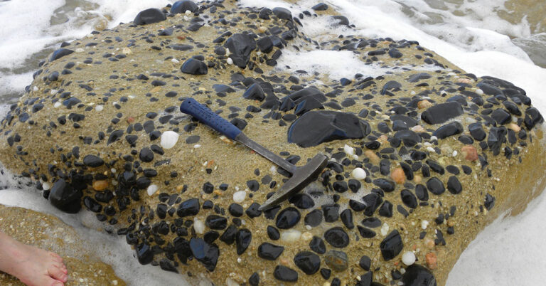 Biomas seguem ameaçados na Região dos Lagos do Estado do Rio de Janeiro