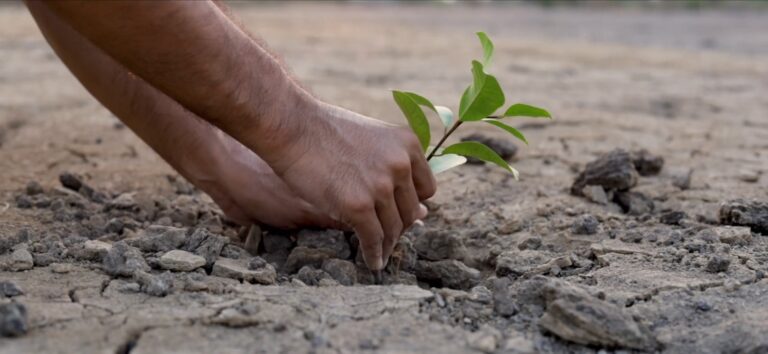 Comer vai nos levar à extinção