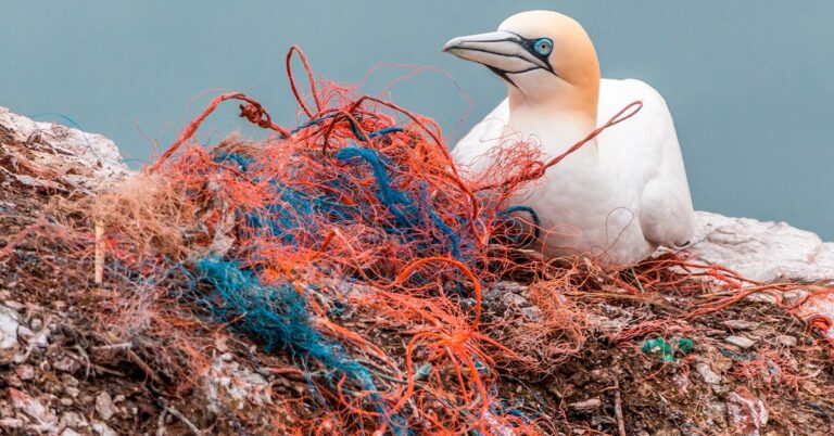Chega de plásticos, não acham?