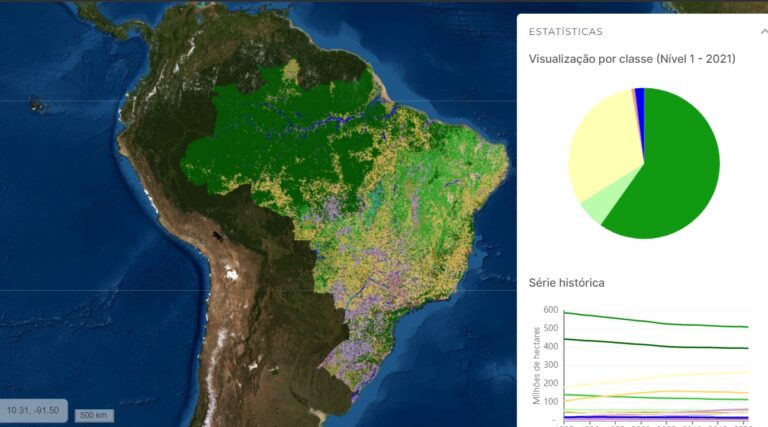 Um terço da perda de vegetação nativa do Brasil desde o descobrimento aconteceu nos últimos 37 anos