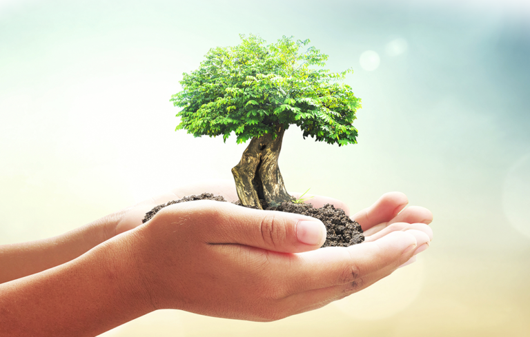 O caminho da ciência até a política climática 