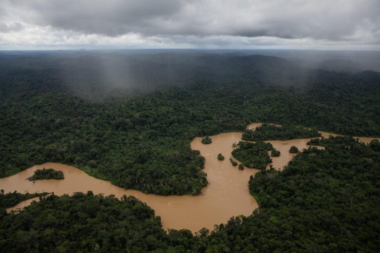 Estudo mostra que garimpo ilegal já ameaça consumo de peixe em  Roraima