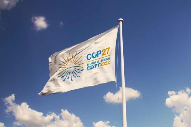 Brasil se prepara para a COP27 com cenário de alta degradação ambiental e incerteza política