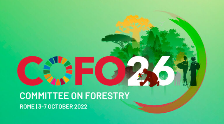 O mundo deve parar o desmatamento e usar as florestas de forma sustentável, diz diretor-geral da FAO