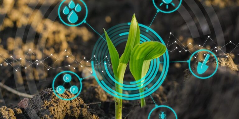 Estudo inédito apresenta negócios de sucesso na Amazônia com a floresta em pé