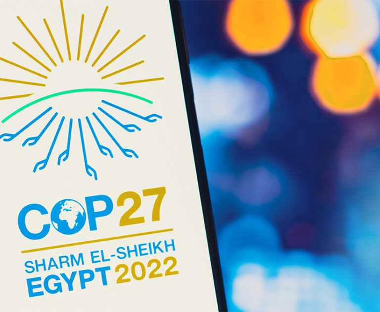 O QUE ESPERAR DA COP27