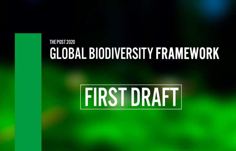 Kunming-Montreal Global Biodiversity Framework / Marco Global da Biodiversidade