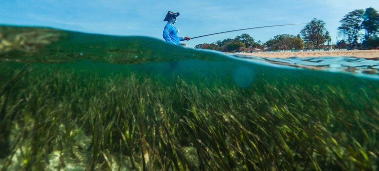Natureza e alimentos: a Zona Costeira