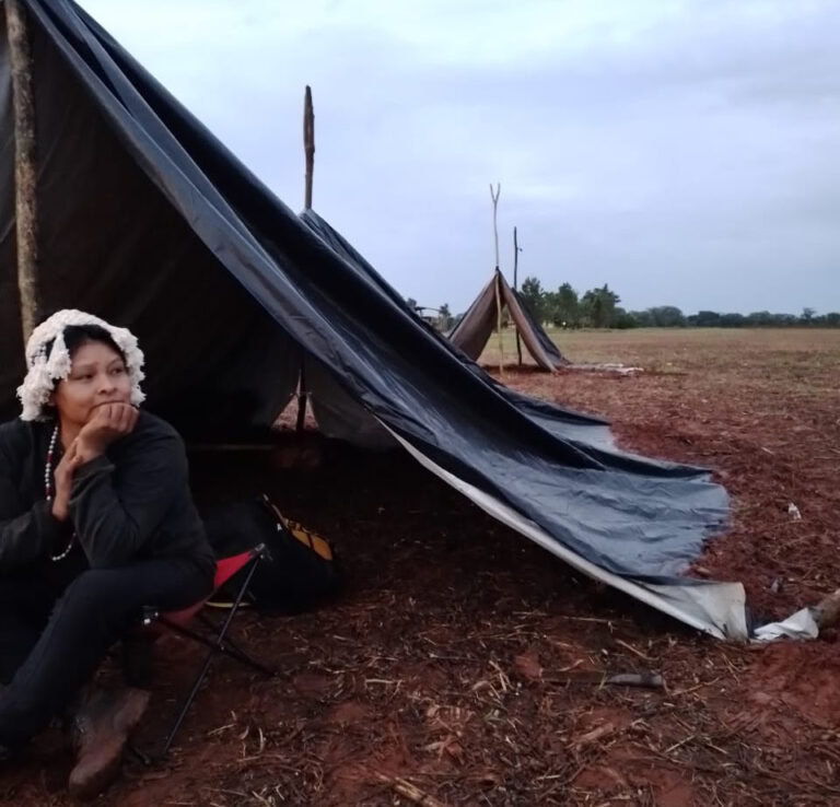 Indígenas Kaiowá e Guarani retomam parte do território Laranjeira Nhanderu e sofrem ameaça de despejo